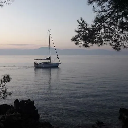 Appartement Niessner *