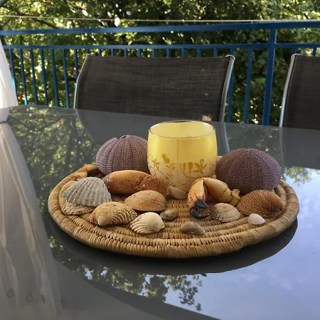 Niessner Apartmán *